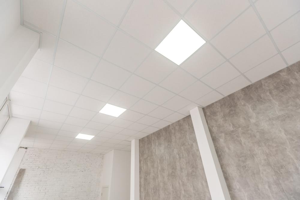 Faux plafond à Monéteau